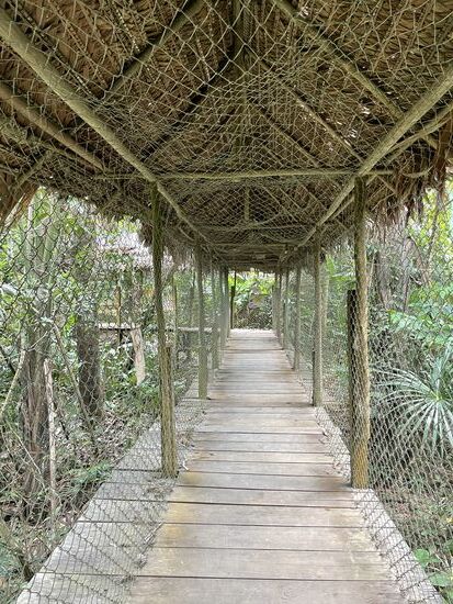 Der Zugang zum Pilpintuwasi soll die Tiere und Pflanzen vor den Menschen schützen, darum sind diese eingesperrt.