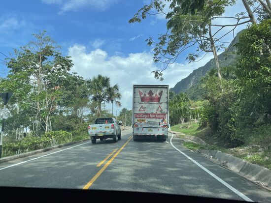 Sicherheitslinien bezeichnen allerhöchstens die Mitte der Fahrbahn, mehr Beudeutung scheinen sie nicht zu haben.