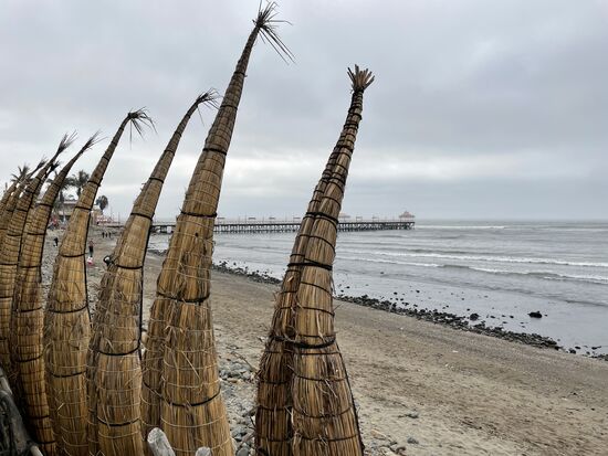 Caballitos de tortora, Schilf-Pferdchen. Die typischen Fischerboote haben eine lange Tradition.