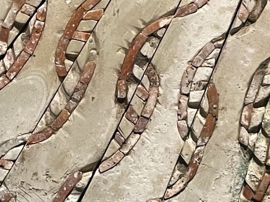 Detail eines Muschelcolliers