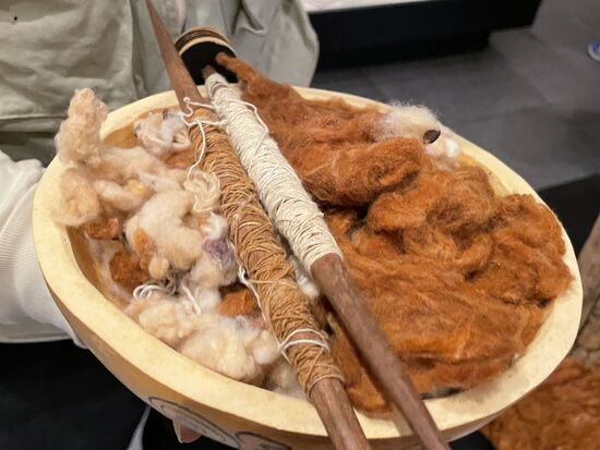 natürliche Farben. Baumwolle wächst nicht nur weiss.