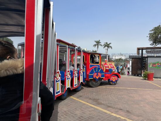 erst mal eine Runde mit dem Zug fahren