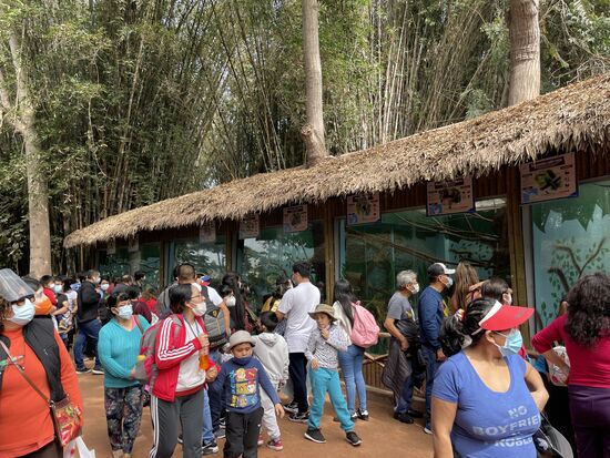 Wir sind nicht die einzigen im Zoo.