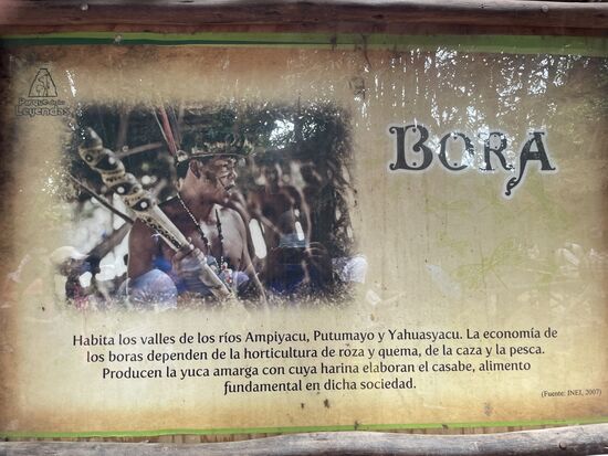 Auf vielen Tafeln werden die verschiedenen Eingeborenenstämme vorgestellt, die im Regenwald leben