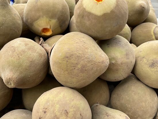 Zapote - Sapote oder Mamay