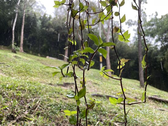Regen war nicht vorgesehen. Hat aber einen willkommenen Halt mit etwas Abkühlung gebracht.