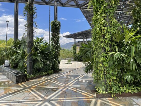 Ineressantes Schattenspiel