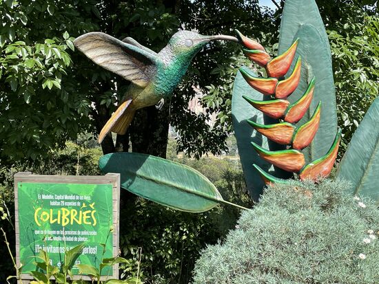 Das ist der einzige Kolibri, den ich fotografieren konnte...