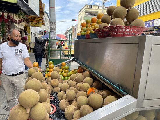 Die Zapota habe ich in einem früheren Kapitel genauer vorgestellt