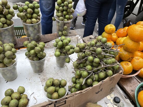 Melicoccus bijugatus - Honigbeere
Eine Frucht, die vor allem in Kolubien, Ecuador und Venezuela wächst