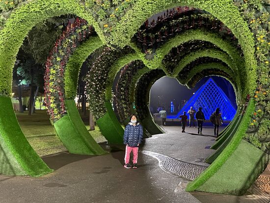 Es gibt auch ein paar neue Blumenelemente, die bestimmt vor allem bei Tag schön aussehen.