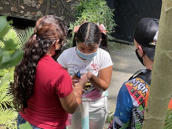 Immer faszinierend, wenn ein Schmetterling Kontakt aufnimmt.