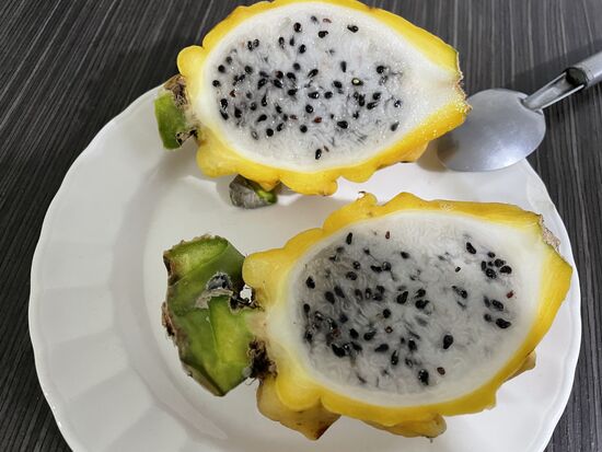 sehr fein zum Auslöffeln