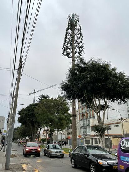 Ein spezieller Baum: weil man die Handyantennen nicht so schätzt, wurden sie kurzerhand als künstliche Bäume getarnt. Ich sehe sie in der ganzen Stadt stehen.