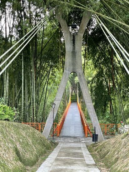 Die Hänge-Brücke in den Wald der Legenden