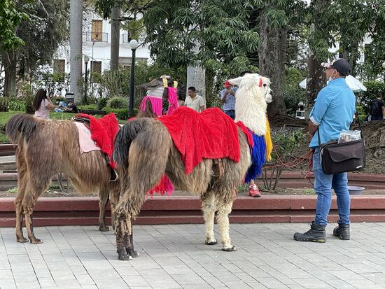 Er läuft mit kleinen Kindern eine Runde durch den Park