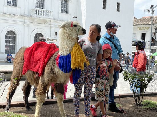 Die ganze Familie hofft auf etwas Einnahmen: Vater, Mutter und Sohn. Und Lama und Alpaka brauchen auch etwas zu fressen.