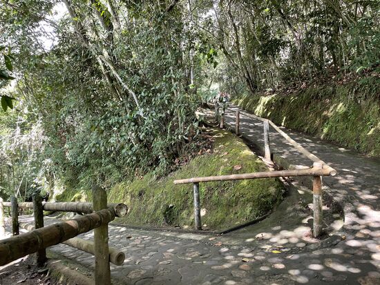 wieder hinauf, oder doch hinunter in die Schlucht?