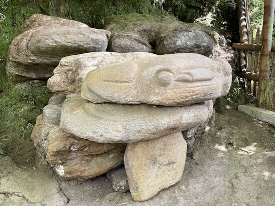 Ein Sapo, ein Frosch