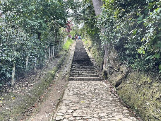 Die paar Stufen können mich nicht mehr erschrecken