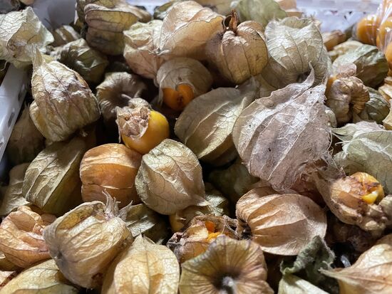 Andenbeeren - Physalis