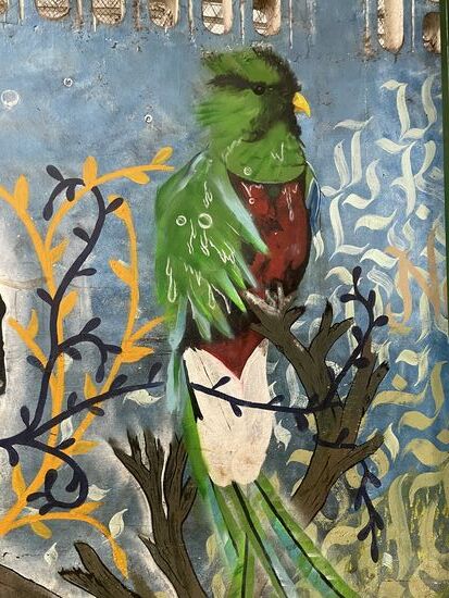 Ein Quetzal, der Nationalvogel Guatemalas