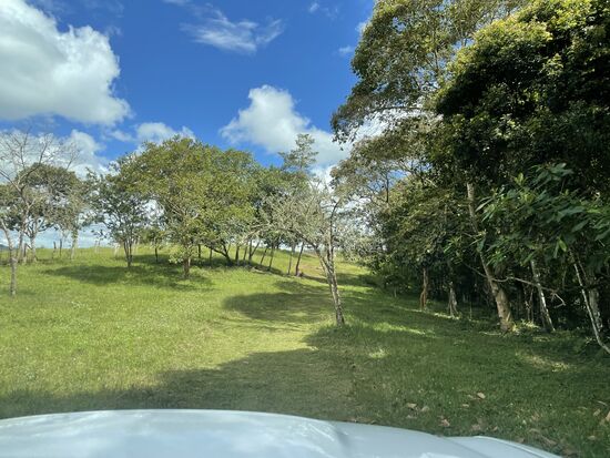 Die Fahrstrasse für die 'müde' Passagierin