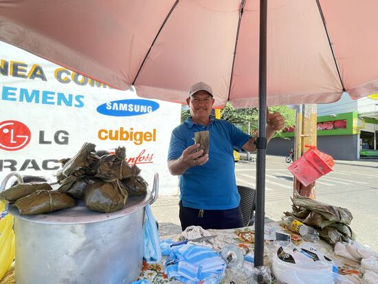 Reisballen mit Hühnchen verstecken sich in den gedämpften Blättern.