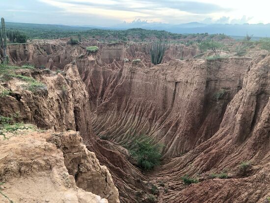 die graue Wüste mit ihren Canons                           (Foto: Emily)