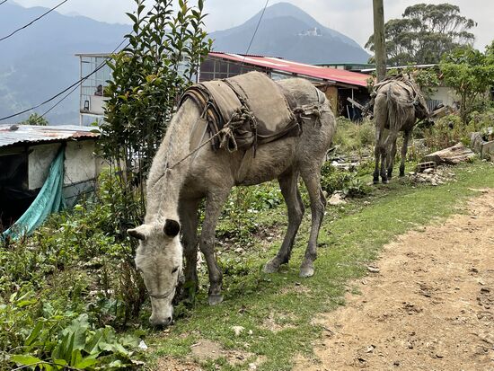 weit hinten der Cerro de Guatelupe