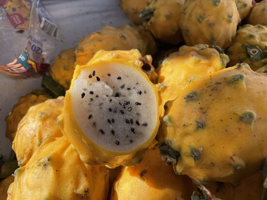 Pitaya, die Kaktusfrucht