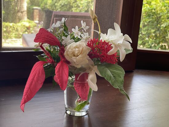 Der kleine Blumenstrauss inmeinem Zimmer wird auch immer wieder aufgefrischt.