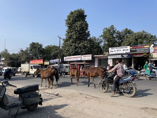 Der Aufpasser fährt hinter ihnen mit dem Motorrad, ein kleines Kind vor sich.