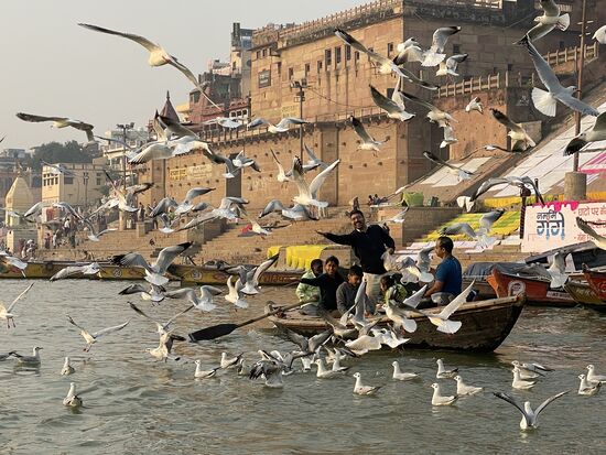 Vögel füttern gibt ein gutes Karma