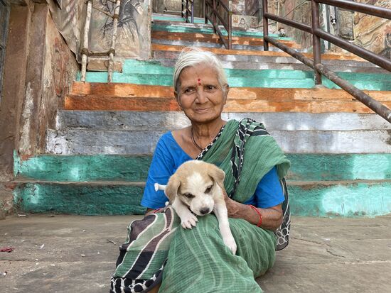 Dieser junge Hund scheint ein liebevolles Heim gefunden zu haben...
