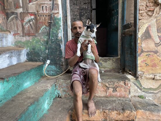 ... und auch dieser Hund scheint einem Besitzer zu gehören.