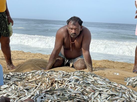 Auch wenn er hier grimmig schaut, so hat er später doch für mich posiert.