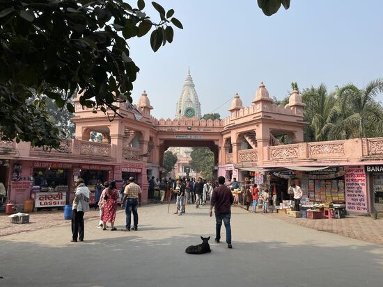 Shri Vishwanath Mandir-Tempel