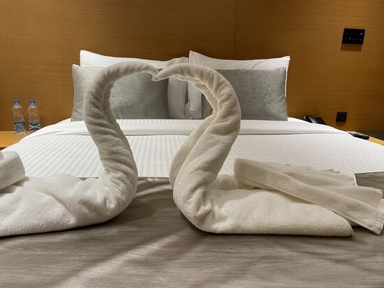 dafür Schwäne im Bett