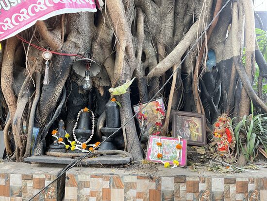 Gebetsstelle an einem Baum.