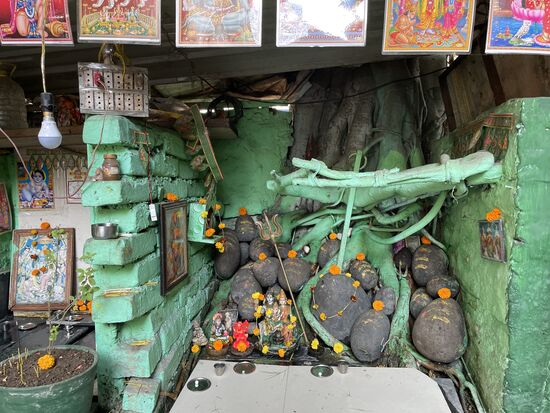 Ein Baum-Altar. Wo fängt Baum an, wo hört Mauer auf? Die Verehrung ist allgegenwärtig. Es bleibt auch immer wieder jemand stehen um dem Baum seine Verehrung zu zeigen. Das zeigen auch die immer frischen Blumen.