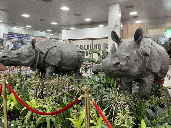 Nashörner sind die Naionaltiere Assams, darum sind sie schon am Flughafen das Begrüssungskomitee