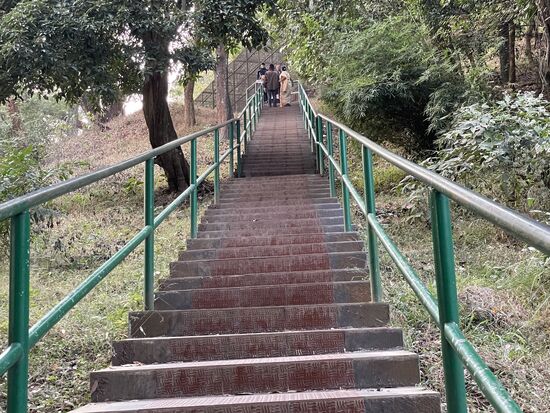 Überall gibt es lange Treppen, über die man zu den einzelnen Gehegen kommt.