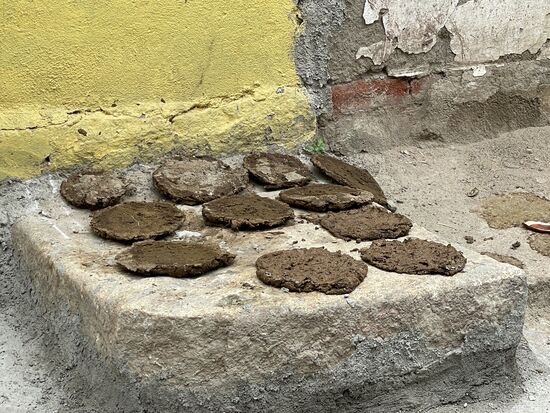 Kuhdung sei ein wichtiger Brenn- und Baustoff in der Stadt, habe ich irgendwo gelesen.