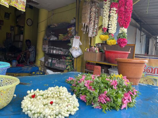 Auch hier wieder rund um den Tempel: duftende Jasminblüten