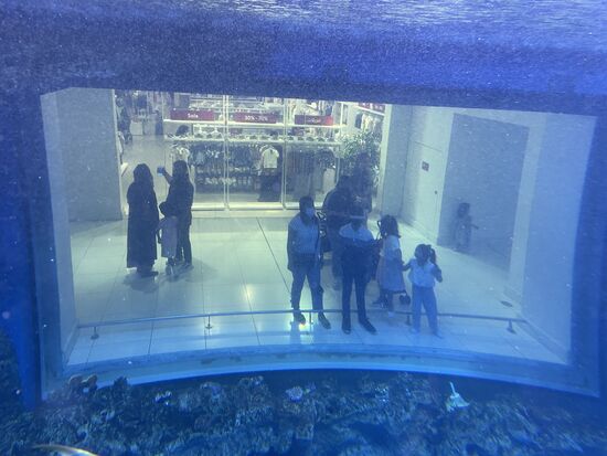 Blick auf Zuschauer, die von aussen ins Aquarium gucken