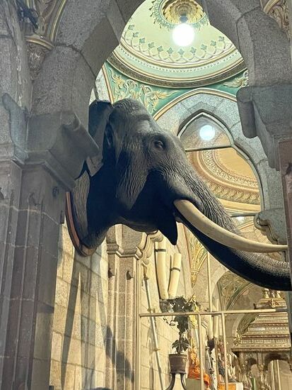 Der alte riesige Palastelefant hängt jetzt an der Wand