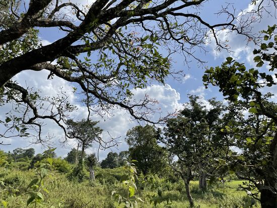 Die Gegend ist auch ohne Tiere faszinierend
