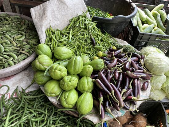 Chayota - ein Kürbisgewächs