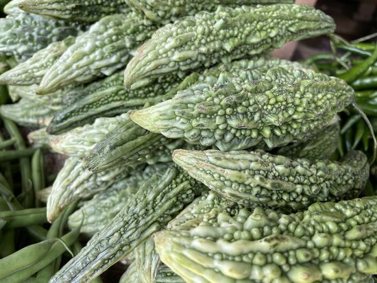 Bittergurke oder Bittermelone